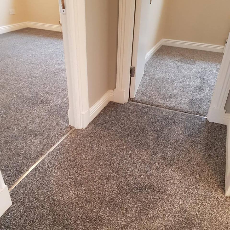 carpet-flooring